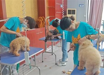 2a5e19d1404341db799aaf1f0b8b0343_compress_看圖王.jpg