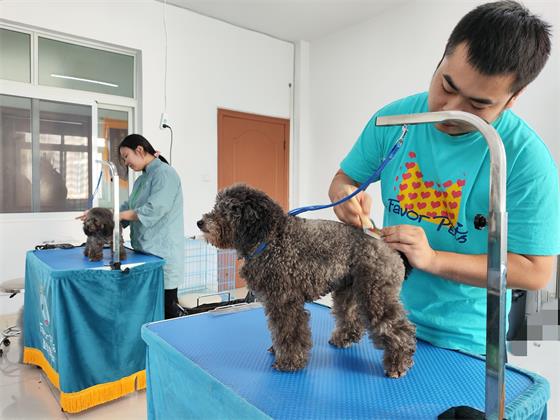 1758274130208909.jpg d8a894413df3380fae72598275b0df1a.jpg