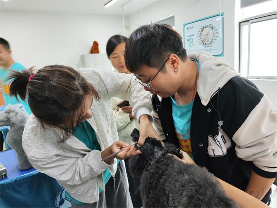 1759217483231957.jpg IMG_20250926_092134(1).jpg